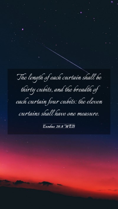 Picture 03 - Exodus 26:8 WEB Mobile Phone Wallpaper - The length of each curtain shall be thirty - Mobile Bible Verse Wallpaper