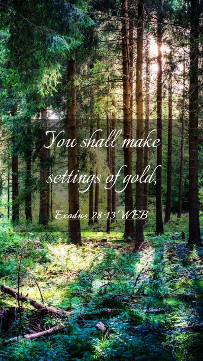 Picture 03 - Exodus 28:13 WEB Mobile Phone Wallpaper - You shall make settings of - Mobile Bible Verse Wallpaper