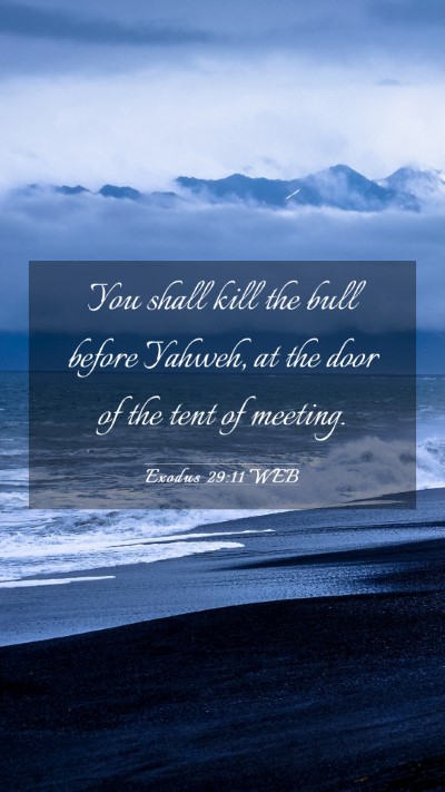 Picture 03 - Exodus 29:11 WEB Mobile Phone Wallpaper - You shall kill the bull before Yahweh, at the - Mobile Bible Verse Wallpaper