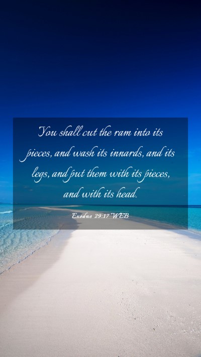 Picture 03 - Exodus 29:17 WEB Mobile Phone Wallpaper - You shall cut the ram into its pieces, and wash - Mobile Bible Verse Wallpaper