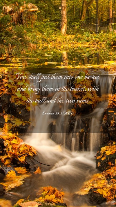 Picture 03 - Exodus 29:3 WEB Mobile Phone Wallpaper - You shall put them into one basket, and bring - Mobile Bible Verse Wallpaper