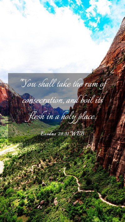 Picture 03 - Exodus 29:31 WEB Mobile Phone Wallpaper - 