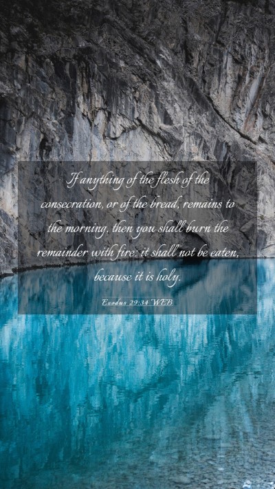 Picture 03 - Exodus 29:34 WEB Mobile Phone Wallpaper - If anything of the flesh of the consecration, or - Mobile Bible Verse Wallpaper