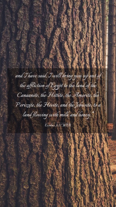 Picture 03 - Exodus 3:17 WEB Mobile Phone Wallpaper - and I have said, I will bring you up out of the - Mobile Bible Verse Wallpaper