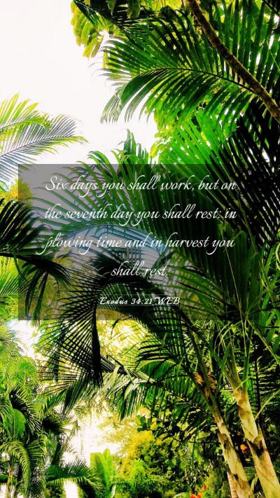 Picture 03 - Exodus 34:21 WEB Mobile Phone Wallpaper - Six days you shall work, but on the seventh day - Mobile Bible Verse Wallpaper