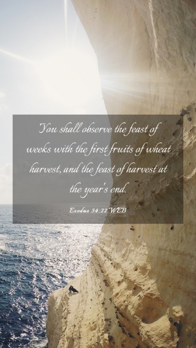 Picture 03 - Exodus 34:22 WEB Mobile Phone Wallpaper - You shall observe the feast of weeks with the - Mobile Bible Verse Wallpaper