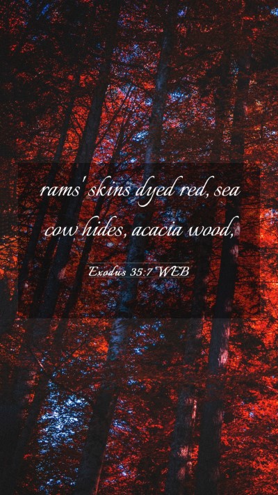 Picture 03 - Exodus 35:7 WEB Mobile Phone Wallpaper - rams' skins dyed red, sea cow hides, acacia - Mobile Bible Verse Wallpaper