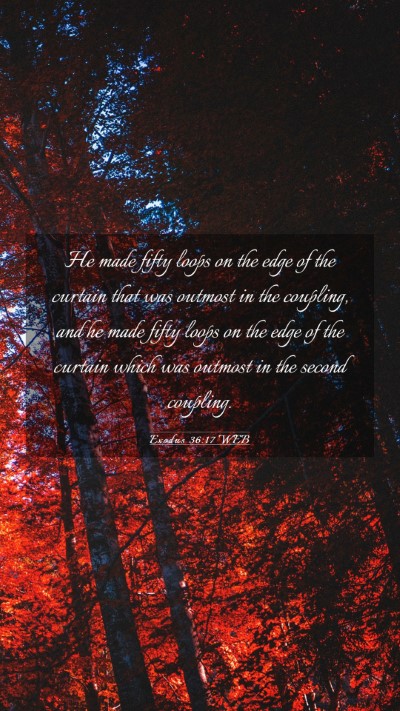 Picture 03 - Exodus 36:17 WEB Mobile Phone Wallpaper - He made fifty loops on the edge of the curtain - Mobile Bible Verse Wallpaper