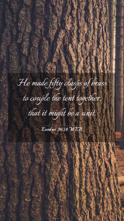 Picture 03 - Exodus 36:18 WEB Mobile Phone Wallpaper - He made fifty clasps of brass to couple the tent - Mobile Bible Verse Wallpaper
