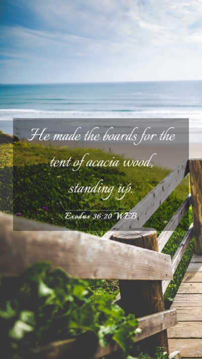 Picture 03 - Exodus 36:20 WEB Mobile Phone Wallpaper - He made the boards for the tent of acacia wood, - Mobile Bible Verse Wallpaper