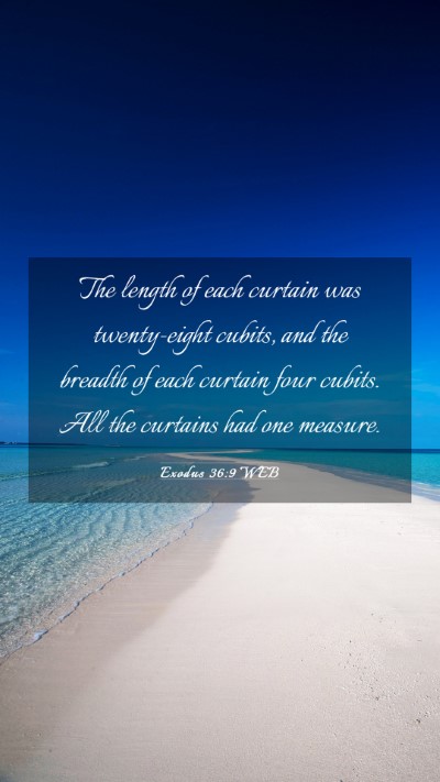 Picture 03 - Exodus 36:9 WEB Mobile Phone Wallpaper - The length of each curtain was twenty-eight - Mobile Bible Verse Wallpaper