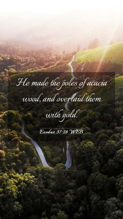 Picture 03 - Exodus 37:28 WEB Mobile Phone Wallpaper - He made the poles of acacia wood, and overlaid - Mobile Bible Verse Wallpaper