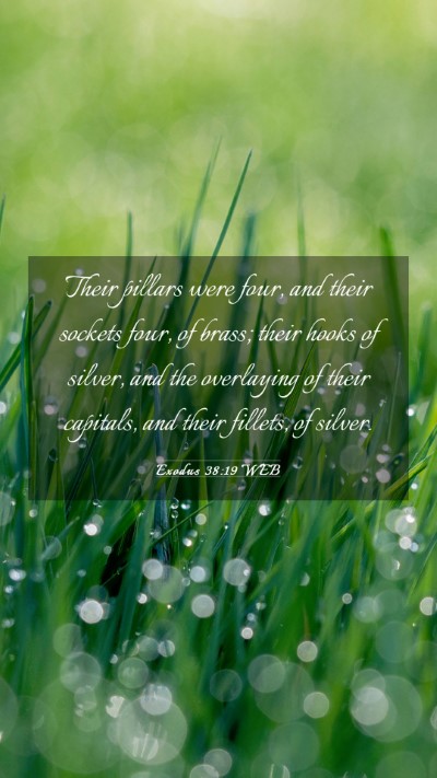 Picture 03 - Exodus 38:19 WEB Mobile Phone Wallpaper - Their pillars were four, and their sockets four, - Mobile Bible Verse Wallpaper
