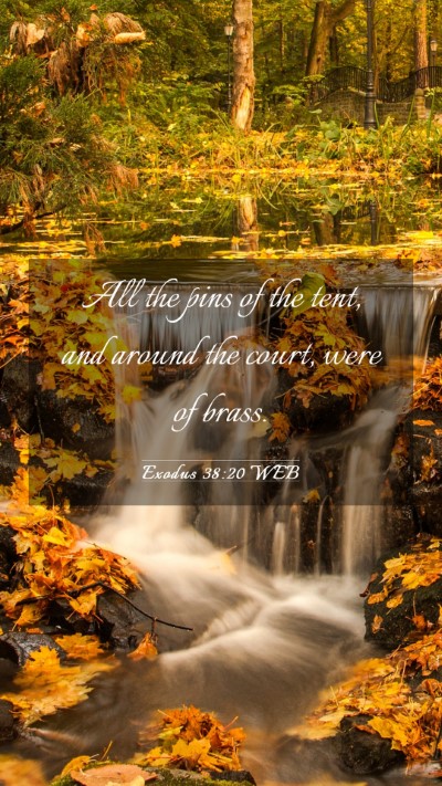 Picture 03 - Exodus 38:20 WEB Mobile Phone Wallpaper - All the pins of the tent, and around the court, - Mobile Bible Verse Wallpaper