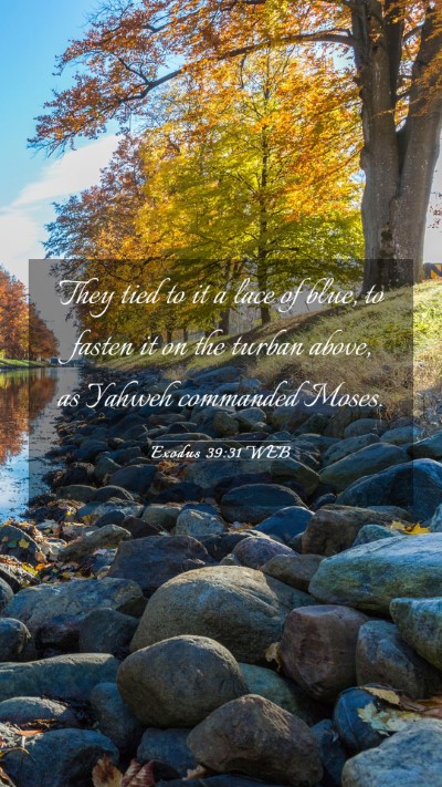 Picture 03 - Exodus 39:31 WEB Mobile Phone Wallpaper - They tied to it a lace of blue, to fasten it on - Mobile Bible Verse Wallpaper