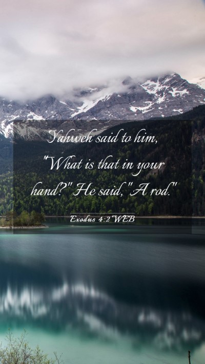 Picture 03 - Exodus 4:2 WEB Mobile Phone Wallpaper - Yahweh said to him, 