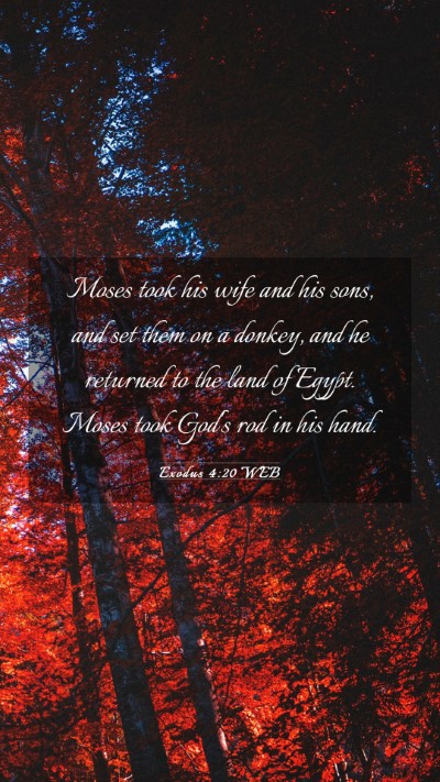Picture 03 - Exodus 4:20 WEB Mobile Phone Wallpaper - Moses took his wife and his sons, and set them on - Mobile Bible Verse Wallpaper