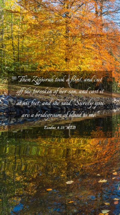 Picture 03 - Exodus 4:25 WEB Mobile Phone Wallpaper - Then Zipporah took a flint, and cut off the - Mobile Bible Verse Wallpaper