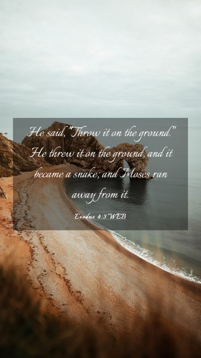 Picture 03 - Exodus 4:3 WEB Mobile Phone Wallpaper - He said, 