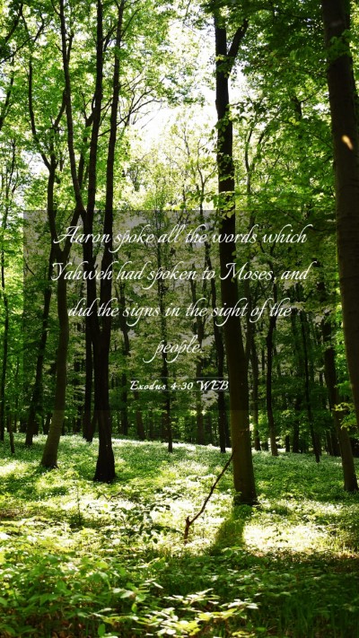 Picture 03 - Exodus 4:30 WEB Mobile Phone Wallpaper - Aaron spoke all the words which Yahweh had spoken - Mobile Bible Verse Wallpaper