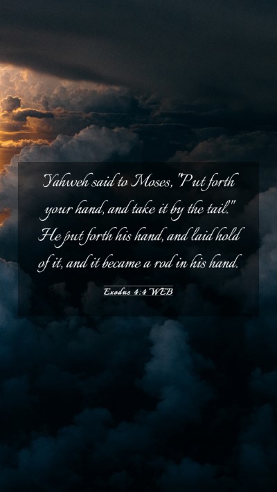 Picture 03 - Exodus 4:4 WEB Mobile Phone Wallpaper - Yahweh said to Moses, 