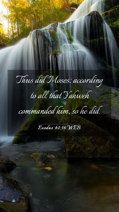Picture 03 - Exodus 40:16 WEB Mobile Phone Wallpaper - Thus did Moses: according to all that Yahweh - Mobile Bible Verse Wallpaper