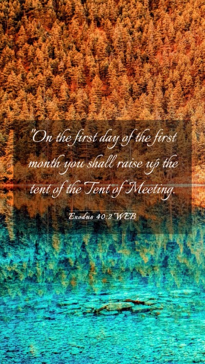 Picture 03 - Exodus 40:2 WEB Mobile Phone Wallpaper - 