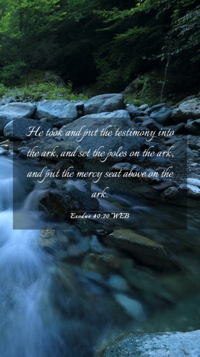 Picture 03 - Exodus 40:20 WEB Mobile Phone Wallpaper - He took and put the testimony into the ark, and - Mobile Bible Verse Wallpaper