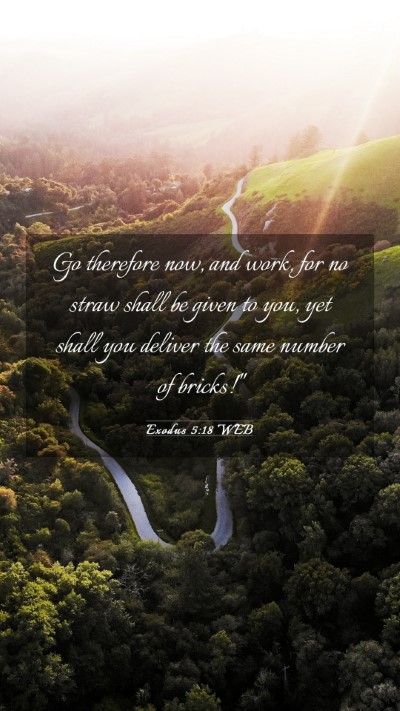 Picture 03 - Exodus 5:18 WEB Mobile Phone Wallpaper - Go therefore now, and work, for no straw shall be - Mobile Bible Verse Wallpaper