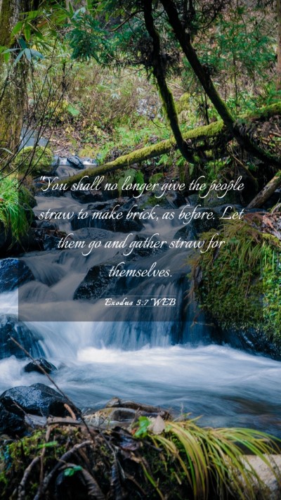 Picture 03 - Exodus 5:7 WEB Mobile Phone Wallpaper - 