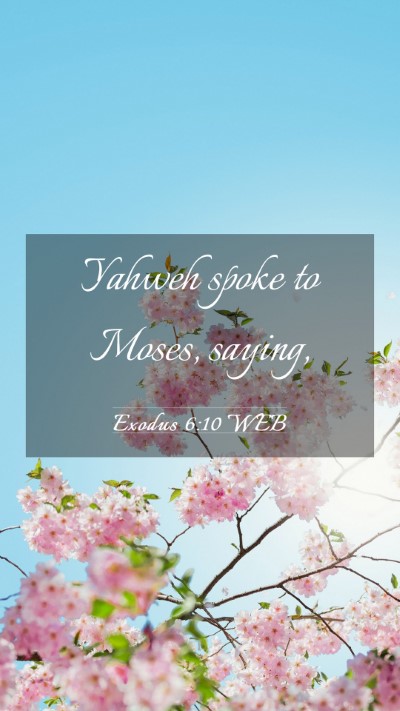 Picture 03 - Exodus 6:10 WEB Mobile Phone Wallpaper - Yahweh spoke to Moses, - Mobile Bible Verse Wallpaper