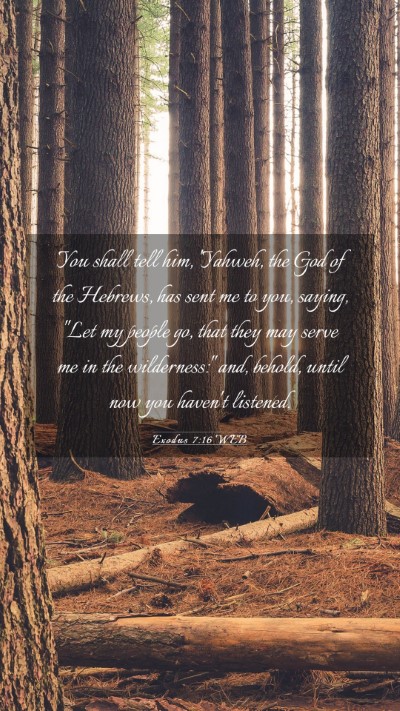 Picture 03 - Exodus 7:16 WEB Mobile Phone Wallpaper - You shall tell him, 'Yahweh, the God of the - Mobile Bible Verse Wallpaper
