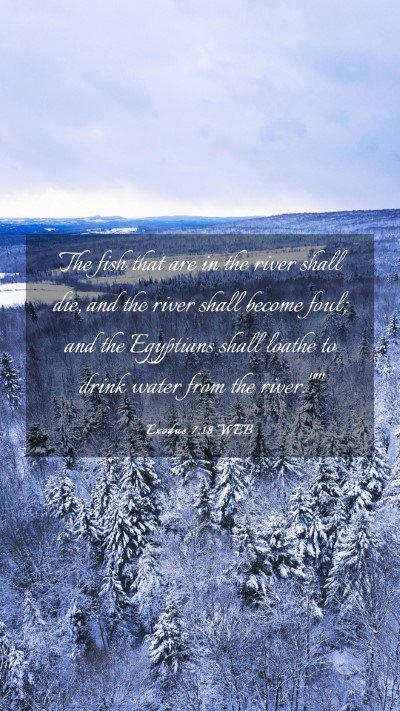 Picture 03 - Exodus 7:18 WEB Mobile Phone Wallpaper - The fish that are in the river shall die, and the - Mobile Bible Verse Wallpaper