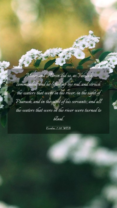 Picture 03 - Exodus 7:20 WEB Mobile Phone Wallpaper - Moses and Aaron did so, as Yahweh commanded; and - Mobile Bible Verse Wallpaper