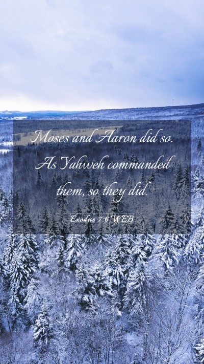 Picture 03 - Exodus 7:6 WEB Mobile Phone Wallpaper - Moses and Aaron did so. As Yahweh commanded them, - Mobile Bible Verse Wallpaper