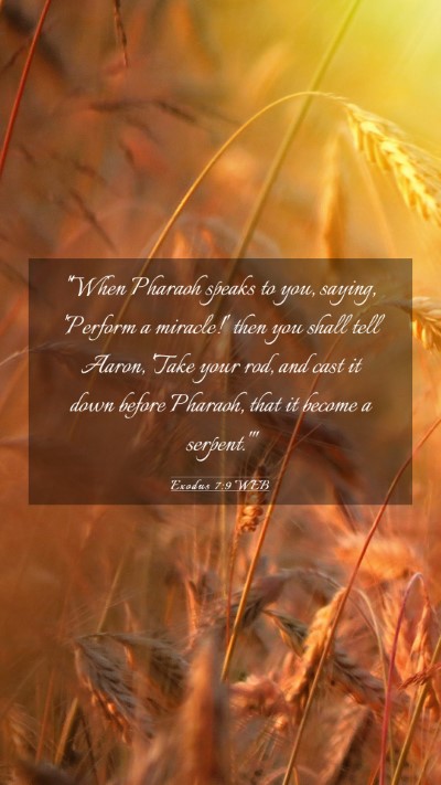 Picture 03 - Exodus 7:9 WEB Mobile Phone Wallpaper - 