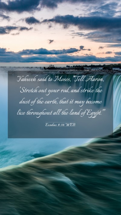 Picture 03 - Exodus 8:16 WEB Mobile Phone Wallpaper - Yahweh said to Moses, 