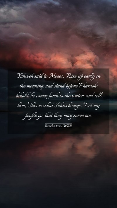 Picture 03 - Exodus 8:20 WEB Mobile Phone Wallpaper - Yahweh said to Moses, 