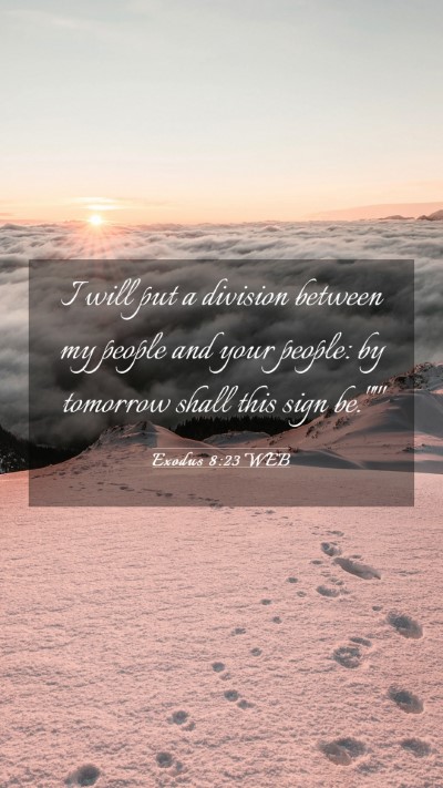 Picture 03 - Exodus 8:23 WEB Mobile Phone Wallpaper - I will put a division between my people and your - Mobile Bible Verse Wallpaper