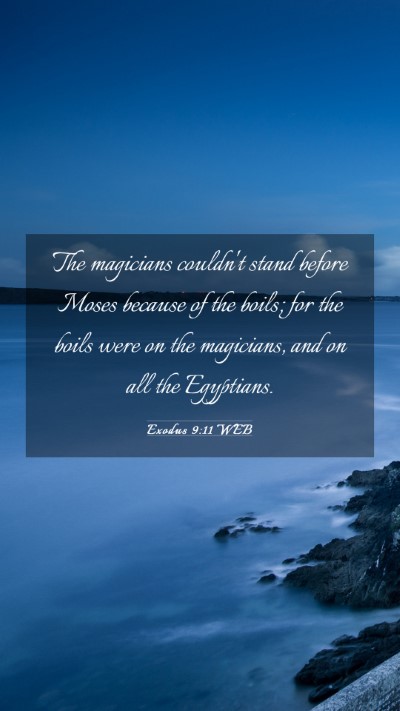 Picture 03 - Exodus 9:11 WEB Mobile Phone Wallpaper - The magicians couldn't stand before Moses because - Mobile Bible Verse Wallpaper
