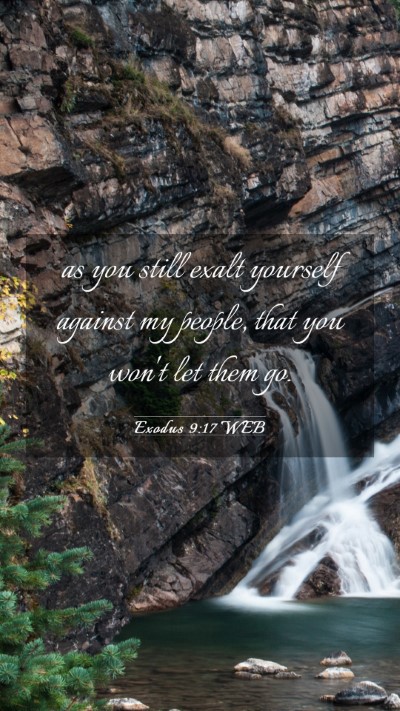 Picture 03 - Exodus 9:17 WEB Mobile Phone Wallpaper - as you still exalt yourself against my people, - Mobile Bible Verse Wallpaper