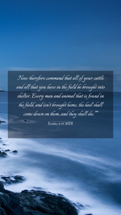 Picture 03 - Exodus 9:19 WEB Mobile Phone Wallpaper - Now therefore command that all of your cattle and - Mobile Bible Verse Wallpaper
