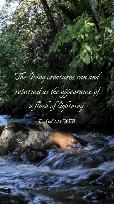 Picture 03 - Ezekiel 1:14 WEB Mobile Phone Wallpaper - The living creatures ran and returned as the - Mobile Bible Verse Wallpaper