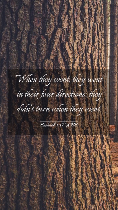 Picture 03 - Ezekiel 1:17 WEB Mobile Phone Wallpaper - When they went, they went in their four - Mobile Bible Verse Wallpaper