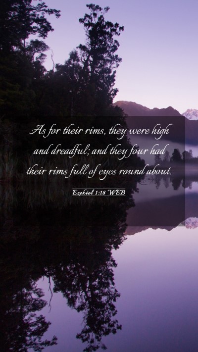 Picture 03 - Ezekiel 1:18 WEB Mobile Phone Wallpaper - As for their rims, they were high and dreadful; - Mobile Bible Verse Wallpaper