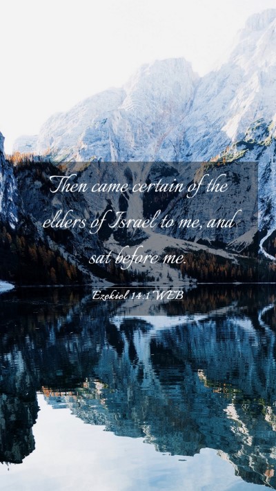 Picture 03 - Ezekiel 14:1 WEB Mobile Phone Wallpaper - Then came certain of the elders of Israel to me, - Mobile Bible Verse Wallpaper