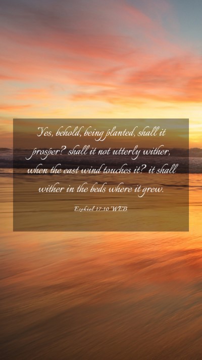 Picture 03 - Ezekiel 17:10 WEB Mobile Phone Wallpaper - Yes, behold, being planted, shall it prosper? - Mobile Bible Verse Wallpaper
