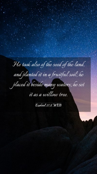 Picture 03 - Ezekiel 17:5 WEB Mobile Phone Wallpaper - He took also of the seed of the land, and planted - Mobile Bible Verse Wallpaper