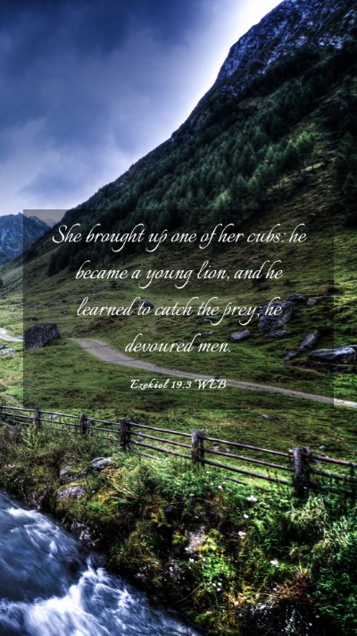 Picture 03 - Ezekiel 19:3 WEB Mobile Phone Wallpaper - She brought up one of her cubs: he became a young - Mobile Bible Verse Wallpaper