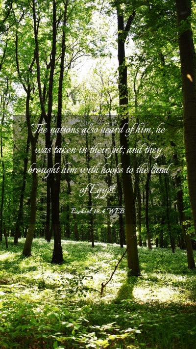 Picture 03 - Ezekiel 19:4 WEB Mobile Phone Wallpaper - The nations also heard of him; he was taken in - Mobile Bible Verse Wallpaper